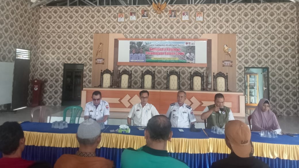 Pemkab Mesuji Siapkan Program Replanting Sawit Rp 60 Juta/Ha