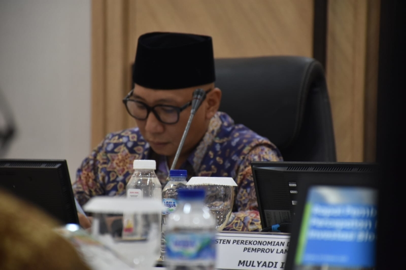 Lampung Siapkan Ratusan Ribu Hektare Lahan, Dorong Investasi Bioetanol Nasional